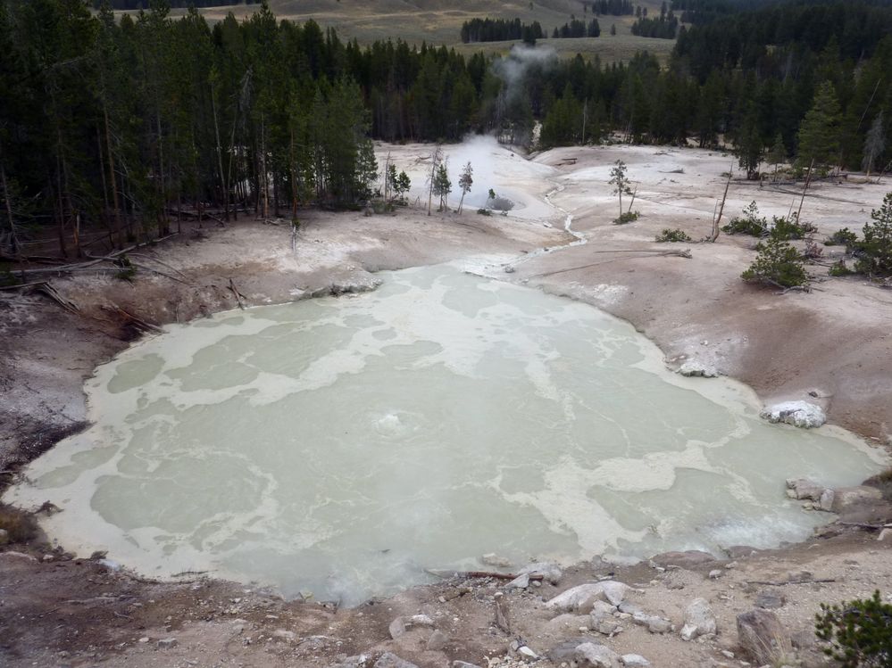Yellowstone Mud Volcano Area (27).JPG